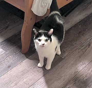 Photo of Jacob