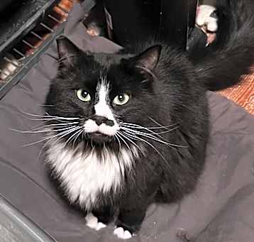 Photo of Taco