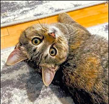Photo of Brandy W.