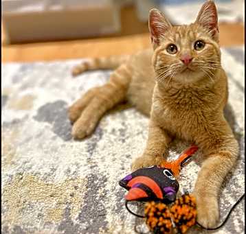 Photo of William