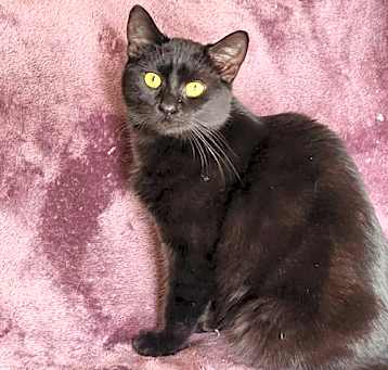 Photo of Cauldron