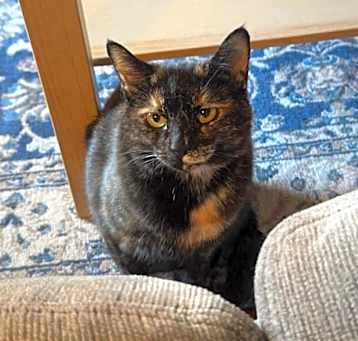 Photo of Corduroy