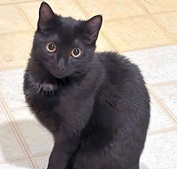 Photo of Jojo