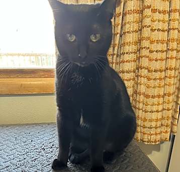 Photo of Lunar