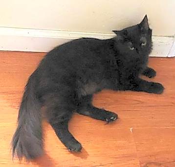 Photo of Lefty