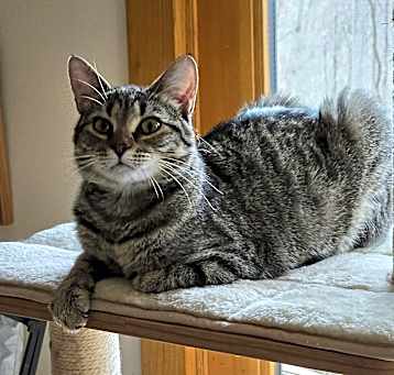 Photo of Mabel