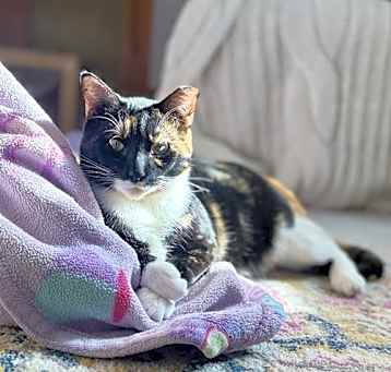 Photo of Klara