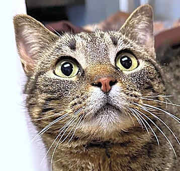 Photo of Katalina