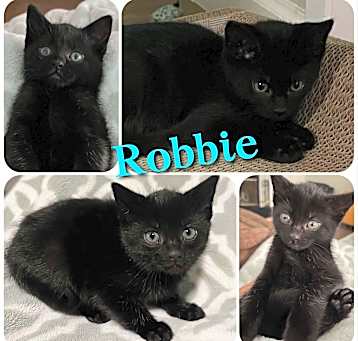 Photo of Robbie