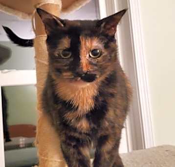 Photo of Mama Peeps f/k/a Freya