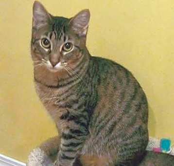 Photo of Ruthie