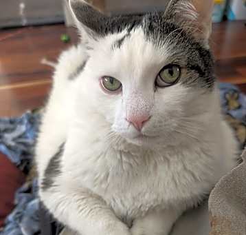Photo of Jessie