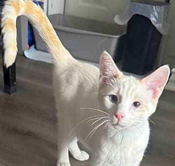 Photo of Finn