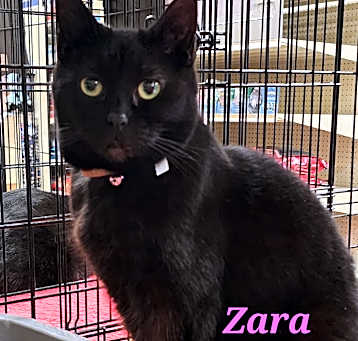 Photo of Zara