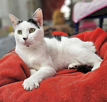 Photo of Sterling