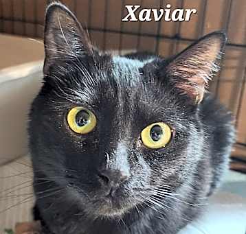 Photo of Xavier