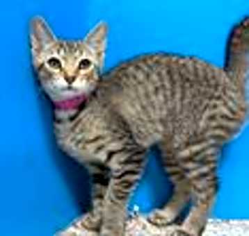 Photo of Francie