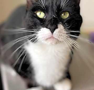 Photo of Sprinkles