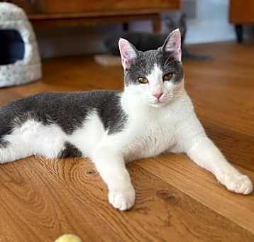 Photo of Tuna