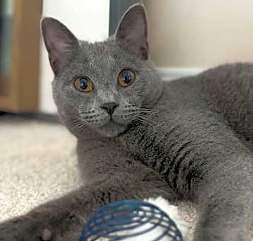 Photo of Relish