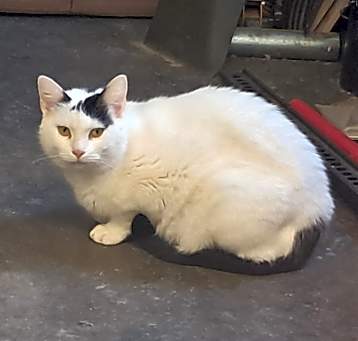 Photo of Bianca