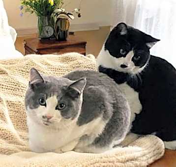 Photo of Corey & Tirzah