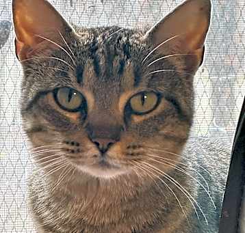 Photo of Birdie