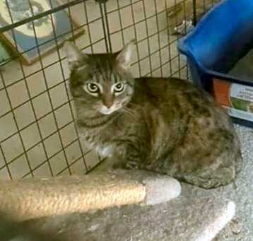 Photo of Baby Girl