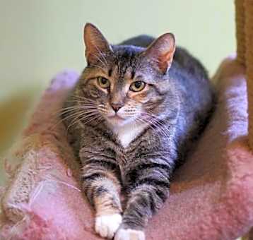 Photo of Macey