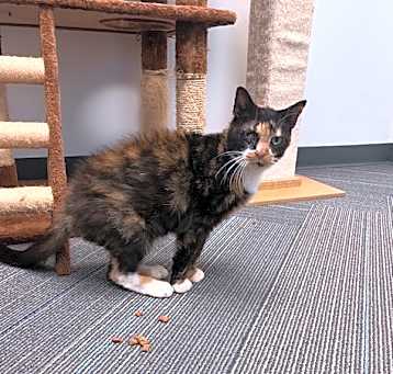Photo of Molly