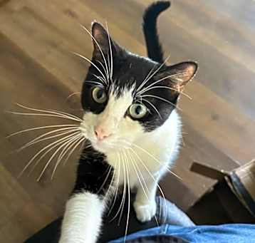 Photo of Gus fka Jack 4489