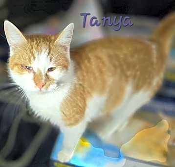 Photo of Tanya