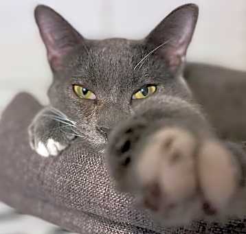 Photo of Sutter