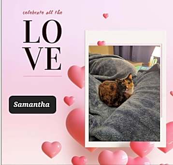 Photo of Samantha & Toby