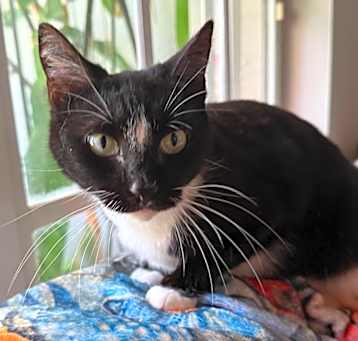 Photo of Semone 