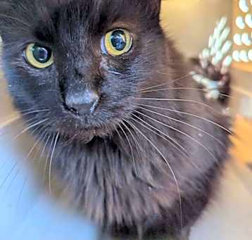 Photo of Joyce 0349