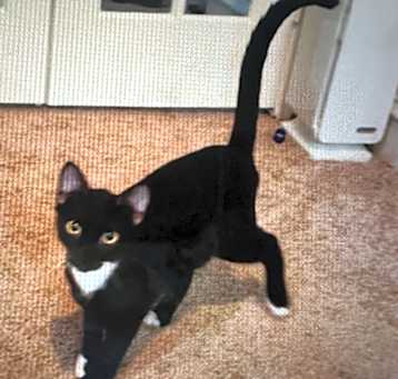 Photo of Buttons