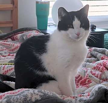 Photo of Kylo