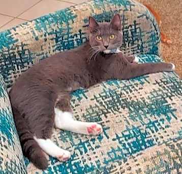 Photo of Kimber