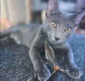 Photo of Maksim