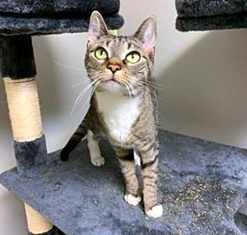 Photo of Bella