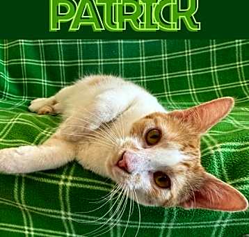 Photo of Patrick