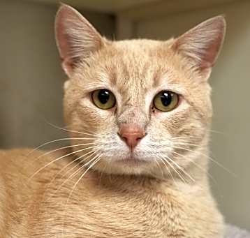 Photo of Wally 56702