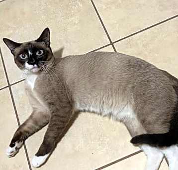 Photo of Mickey Blue Eyes