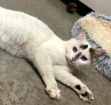 Photo of Esmeralda