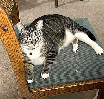 Photo of Betty Sue
