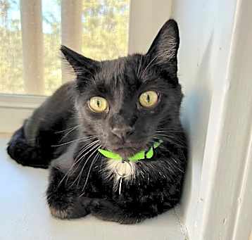 Photo of Chase