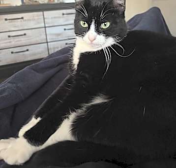 Photo of Polly