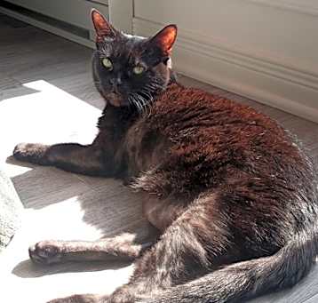Photo of Toupie