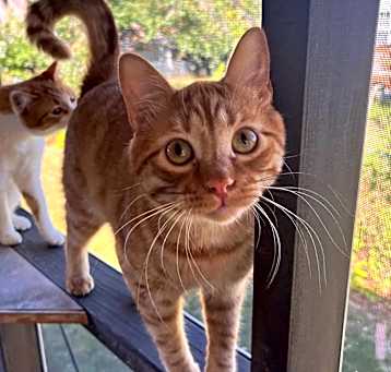 Photo of Fry